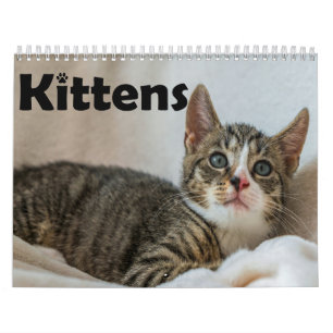 Calendario Anual de Fotos de Gatitos Mascotas Lind