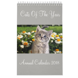 Calendario Anual De Los Gatos Del Año 2018