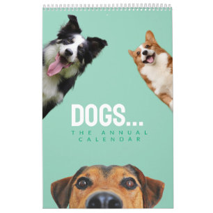Calendario Anual De Perros Adorables Para Amantes