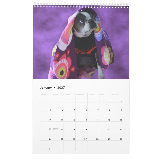 Calendario Apenas Bostons (Jan 2027)