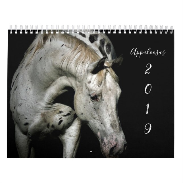 Calendario Appaloosa (Tapa)