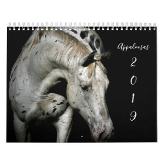 Calendario Appaloosa