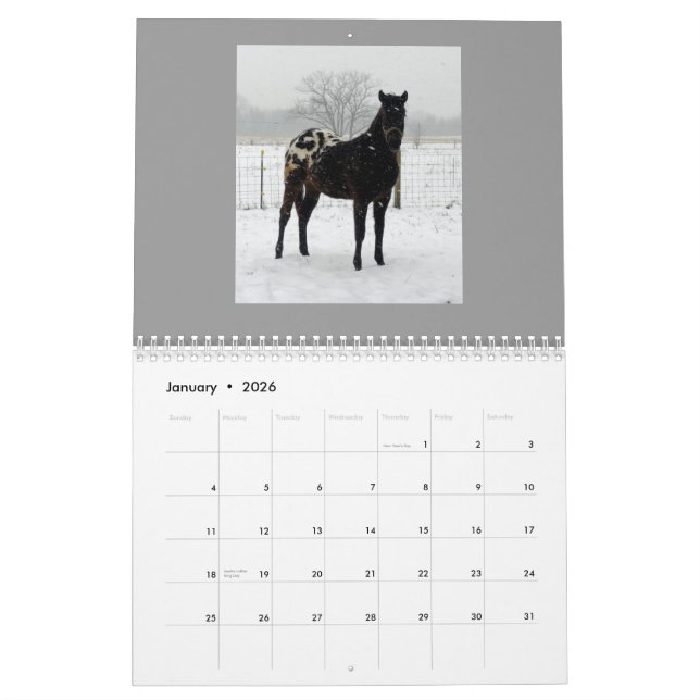 Calendario Appaloosas 2011 de la familia (Jan 2026)