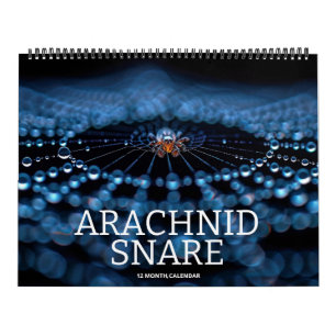 Calendario Arachnid Snare