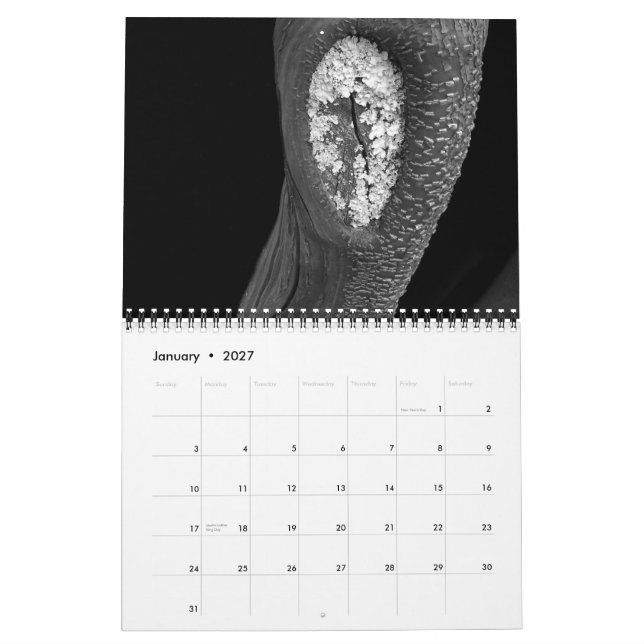 Calendario Árboles 2010 (Jan 2027)