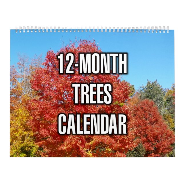 Calendario Árboles de 12 Meses (Tapa)