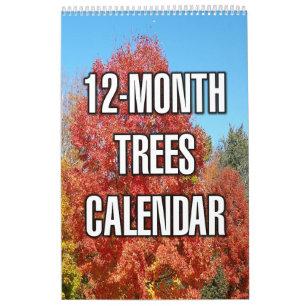 Calendario Árboles de 12 Meses