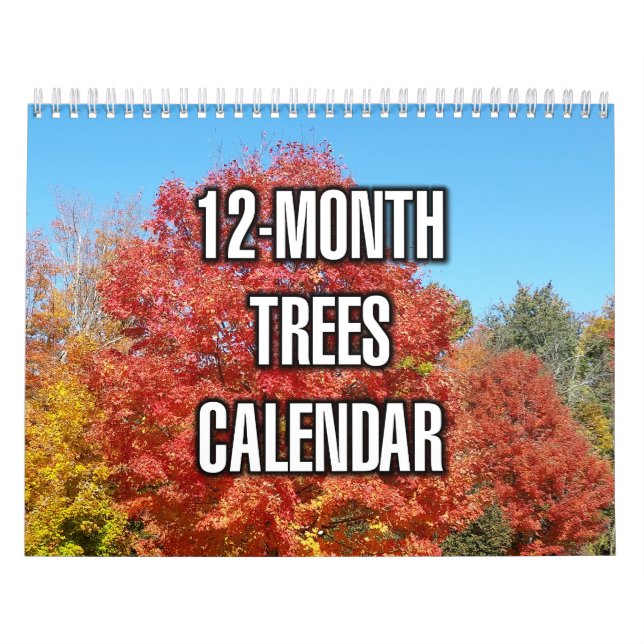 Calendario Árboles de 12 Meses (Tapa)