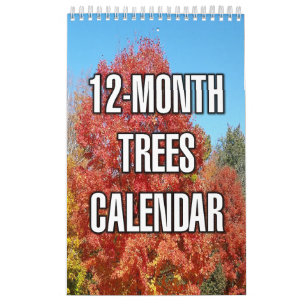 Calendario Árboles de 12 Meses