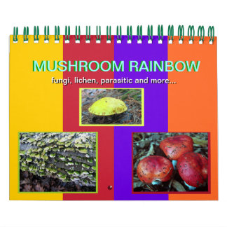Calendario Arcoiris hongo 2012