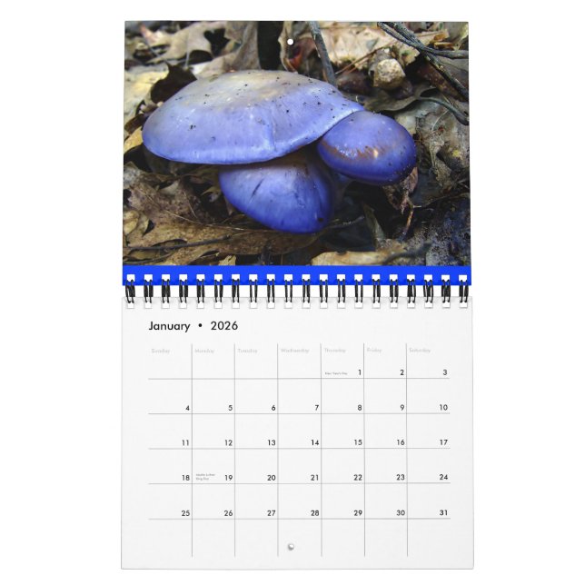 Calendario Arcoiris hongo 2012 (Jan 2026)