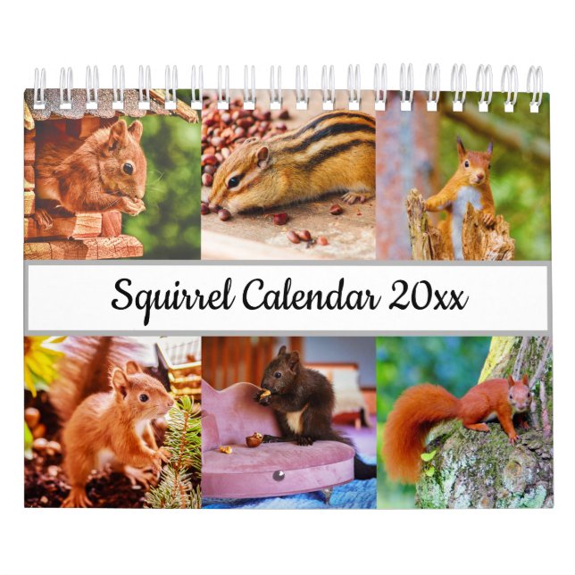 Calendario Ardilla (Tapa)
