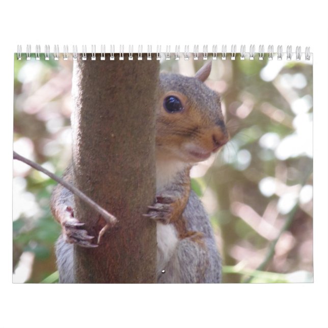 Calendario ardillas (Tapa)