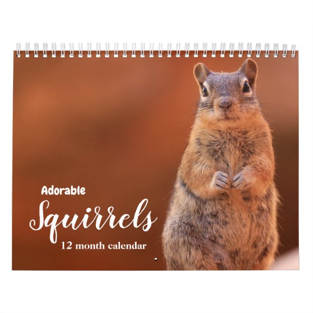 Calendario Ardillas Adorables 2026 (Tapa)