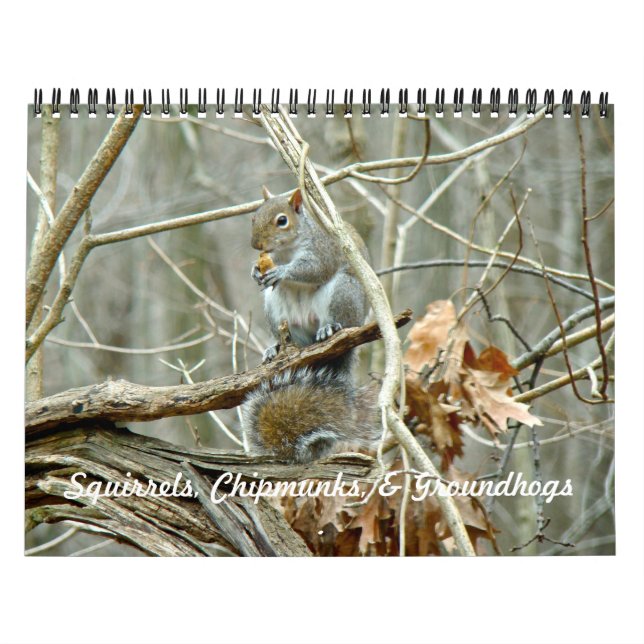 Calendario - Ardillas Chipmunks Groundhogs (Tapa)