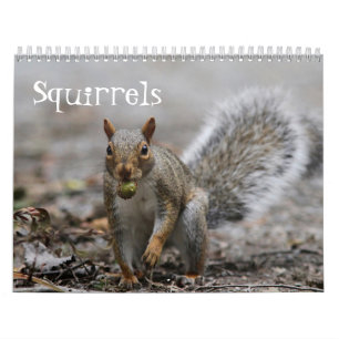 Calendario Ardillas rojas americanas y ardillas de gris del