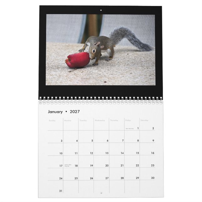 Calendario Ardillas y sus tesoros (Jan 2027)