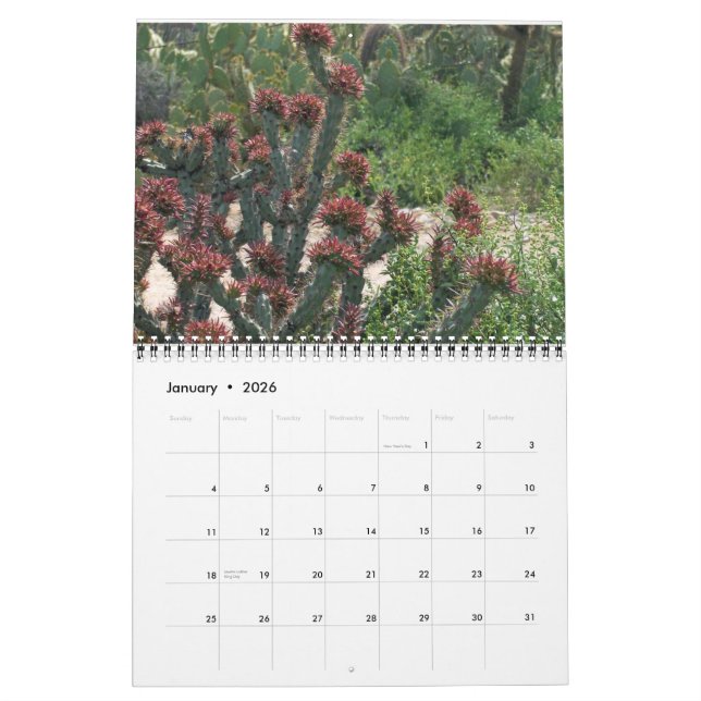 Calendario Arizona Cacti (Jan 2026)
