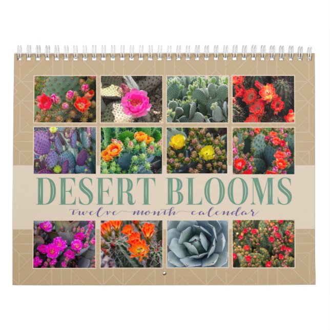 Calendario Arizona Cactus | Las flores del desierto eligen tu (Tapa)