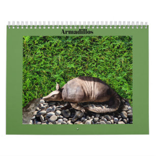 Calendario Armadillos