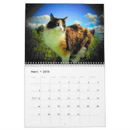 Calendario Artisticats de DJ de djoneill