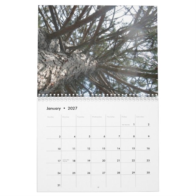 Calendario artsy (Jan 2027)