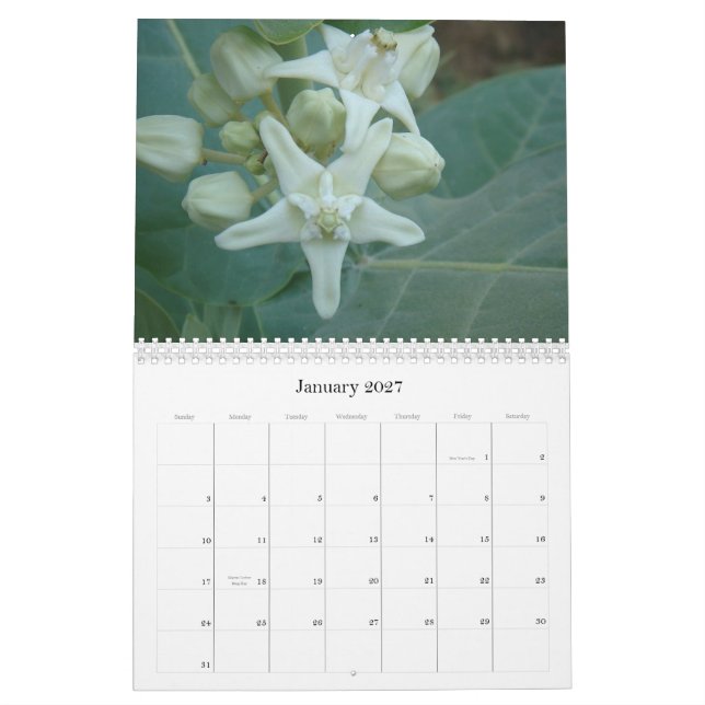 Calendario asiático del sur de las flores (Jan 2027)