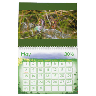 Calendario Asombroso 2021