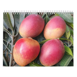 Calendario asombroso de mango 2023