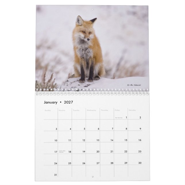 Calendario astuto de las señoras (y caballeros) (Jan 2027)