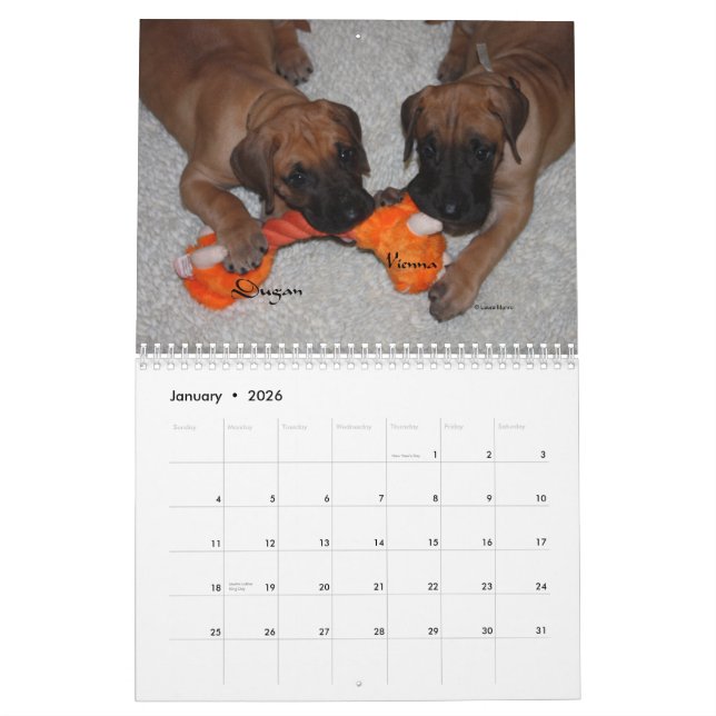 Calendario Asunto del danés - 2012 perritos (Jan 2026)