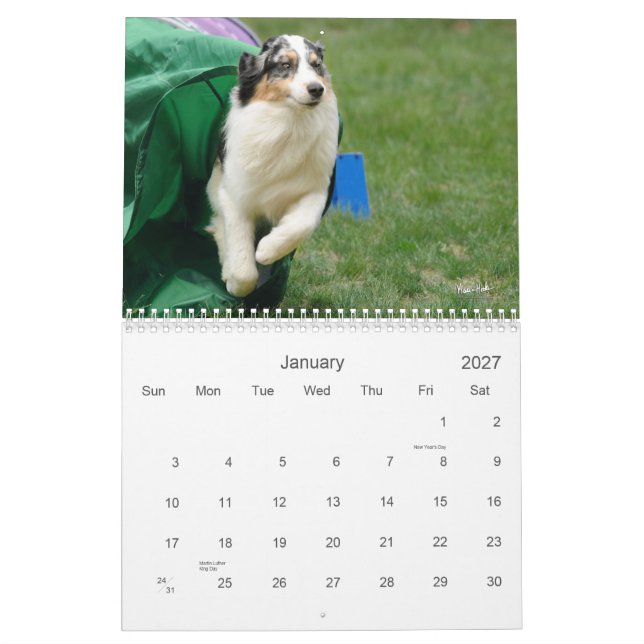 Calendario australiano de la agilidad del pastor (Jan 2027)