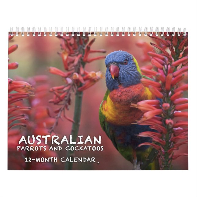 Calendario australiano de los loros y de los (Tapa)