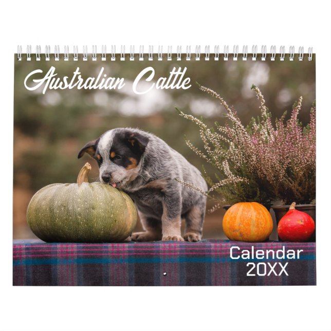 Calendario Australiano de Perros Ganaderos 2026 (Tapa)
