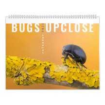 AUXILIAR DE BUGS 2021