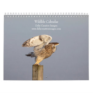 Calendario Aventuras de Vida Silvestre 2027   Fotografía de N