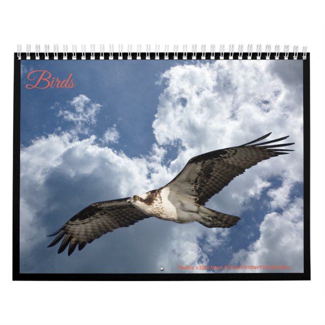 Calendario Aves (Tapa)