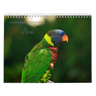 Calendario Aves