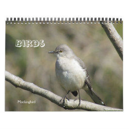 Calendario - Aves