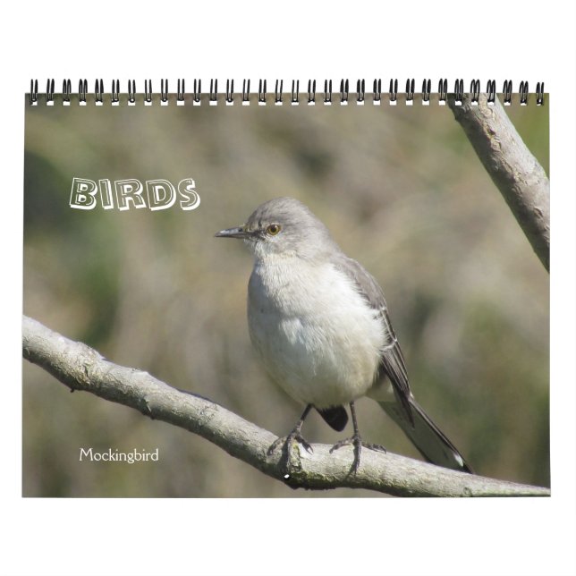 Calendario - Aves (Tapa)