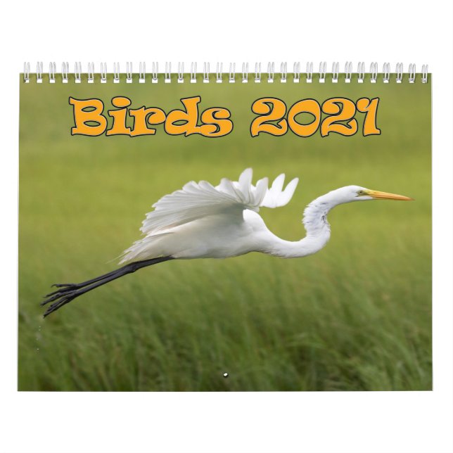 Calendario Aves 2021 (Tapa)