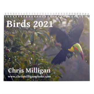 Calendario Aves 2021 de Chris Milligan