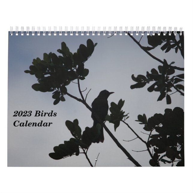 Calendario Aves 2023 (Tapa)