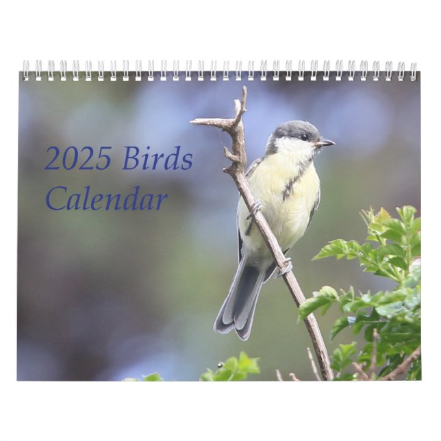 Calendario Aves 2025 (Tapa)