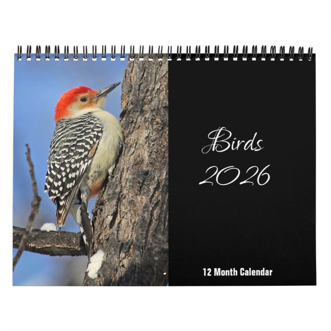 Calendario Aves 2026 (Tapa)