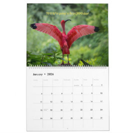 Calendario Aves 2026 - Con versos bibliográficos