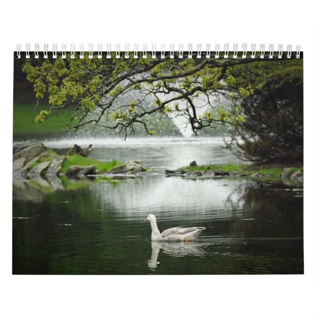 Calendario Aves acuáticas (Tapa)