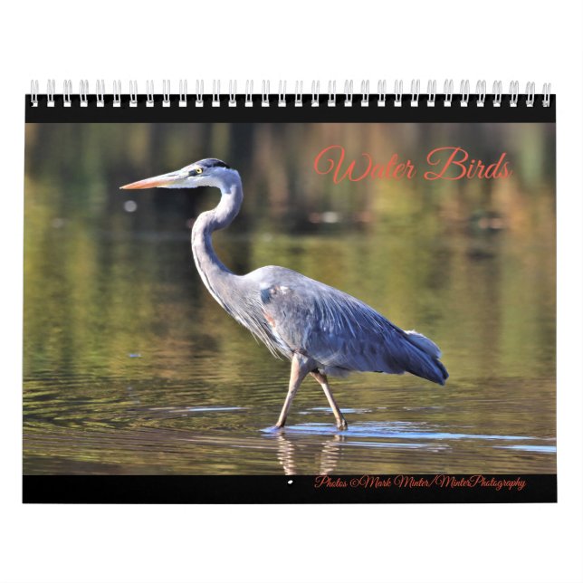 Calendario Aves acuáticas (Tapa)
