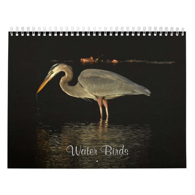 Calendario Aves acuáticas 2 (Tapa)