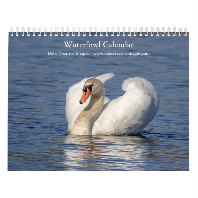 Calendario Aves acuáticas 2026 (Tapa)